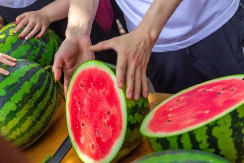 莱州今日吃瓜爆料,揭秘当地热点事件背后的真相 第2张 莱州今日吃瓜爆料,揭秘当地热点事件背后的真相 第2张