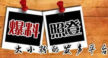 重庆新闻匿名爆料,匿名爆料揭示城市热点事件内幕 第1张 重庆新闻匿名爆料,匿名爆料揭示城市热点事件内幕 第1张